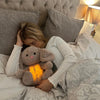 Sleep Calm Grey Rabbit Plush 