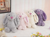 Personalized Rabbit Plush