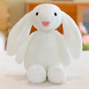 Personalized Rabbit Plush